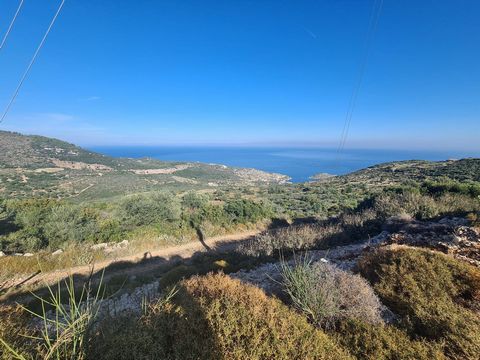 Dit verhoogde perceel kijkt uit over de haven van Agios Nikolas en biedt een weids uitzicht op de Ionische Zee en het naburige eiland Kefalonia. De noordelijke regio van Zakynthos staat bekend om zijn natuurlijke schoonheid en relaxte leven, ook een ...