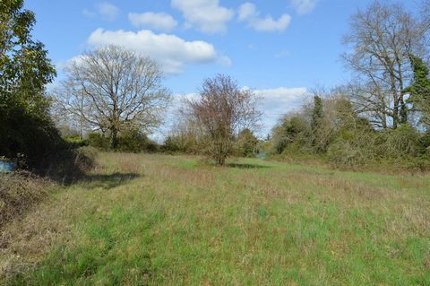 This building plot of 2262m2 is in a small, quiet hamlet. Added to this is a garden plot of 755 m². Level and wooded land Close to the town of CHEF-BOUTONNE and SAUZE-VAUSSAIS, its shops and amenities. CU granted in July 2022. not developed Honorary ...