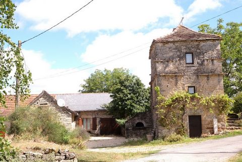 Selection Habitat are pleased to present this recently (2008) renovated stone house with a separate gîte, swimming pool and large garage in the commune of Castanet (82160). The house is set in a tiny hamlet less than 7km from Parisot offering a princ...