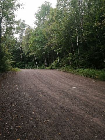 Large vacant wooded lot of 89,496.5 square feet. Located at Ch Pednault with public access to the Oureau River within walking distance. Also a few kilometers from the descent of public boat on Lake Archambault (Parc des Pionniers ) and also descent t...