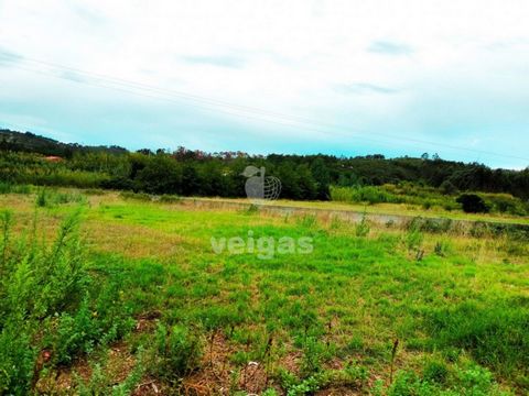 Rustic land with feasibility to build, inserted in urban area, with possibility of construction, with an area of 1560 m2, very well located in Olho Marinho. Close to all the commerce and a few minutes from Óbidos, known Medieval village. Excellent su...