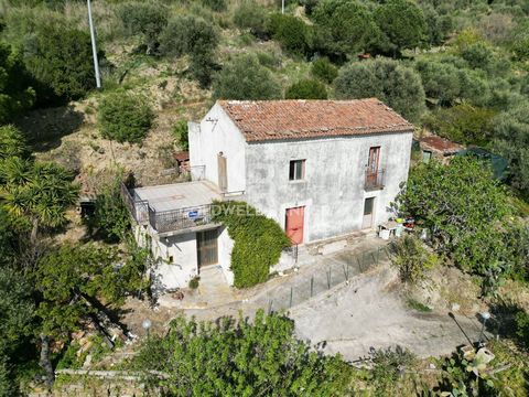 We offer for sale in Perdifumo, in Contrada Coste, a detached house, which offers a rural and serene environment, immersed in the beauty of Cilentan nature. The property extends over a vast plot of approximately 20,800 m2, offering large spaces and e...