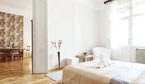 Located in the heart of Budapest: Basilica, Chain Bridge, Opera house, fine restaurants and the ruin pubs are all within walking distance. For students or bigger families: Living room and 