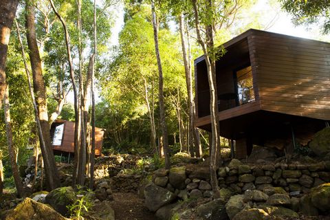 Junior Suite deluxe in the middle of the forest with desk and balcony. Up to two persons. A great opportunity for digital nomads across the world! Right in the middle of the Atlantic, in Ilha Terceira, Azores. Up to 6 months living in the forest whil...