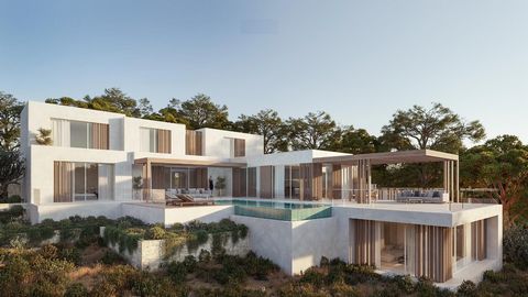 NEW BUILD VILLA IN MORAIRA New Build Luxury villa in Moraira. This beautiful villa total of 406m2 is built on a plot of 1,087m2. Villa build over 3 floors and a total of 5 bedrooms: The ground floor contains living room, kitchen-dining room, a guest ...