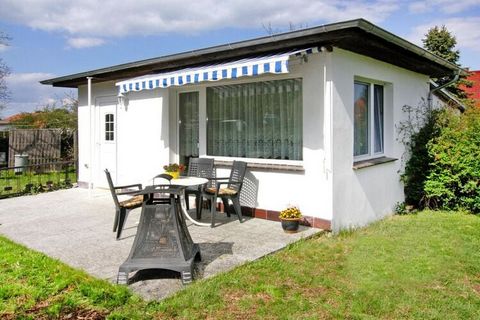 Cozy bungalow near the mouth of the Peene on a sunny garden plot (1,500 sqm). Enjoy the first rays of sunshine with a hearty breakfast on your terrace and strengthen yourself for the day. The maritime harbor is only 500 meters away, here you can enjo...