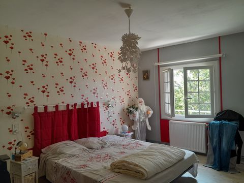 photo no. 17