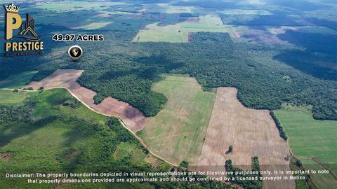 Discover your next investment opportunity in the lush landscapes of Belize's Corozal District. Prestige Realty & Development Ltd proudly presents a remarkable property in the tranquil Warree Bight/Freshwater Creek area, near the charming village of L...