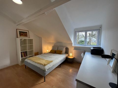 photo no. 2