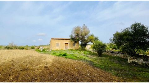 Plot area 15686 m², land accessibility (camino asfaltado).