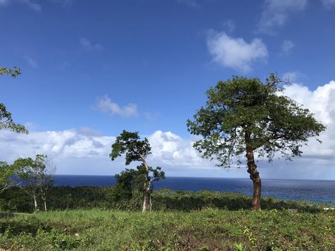 Cabrera ( Maria Trinidad Sanchez, DO ) A rare find. This small 850 square meter lot boasts some of the most picturesque views that I seen in my 17 years of living in Cabrera. Currently in the process of deslinde. There’s not another one available sim...