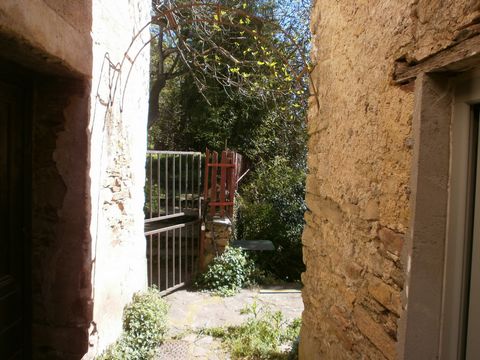 photo no. 18
