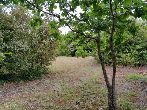 photo no. 14