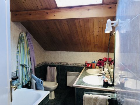 photo no. 12
