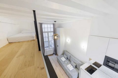 photo no. 7