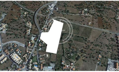 Don't Miss Out! Land in Lagoas - Ferreiras, strategically located near the bustling center of Ferreiras. Designated for construction and already subdivided, this plot of land represents an outstanding investment opportunity. Not only does it boast a ...