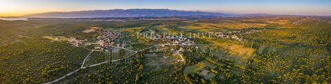 Location: Zadarska županija, Poličnik, Poličnik. A spacious plot of land located in Poličnik is for sale, covering a total of 1,200 m2, offering you incredible opportunities for various projects. This plot is a great opportunity for those looking for...