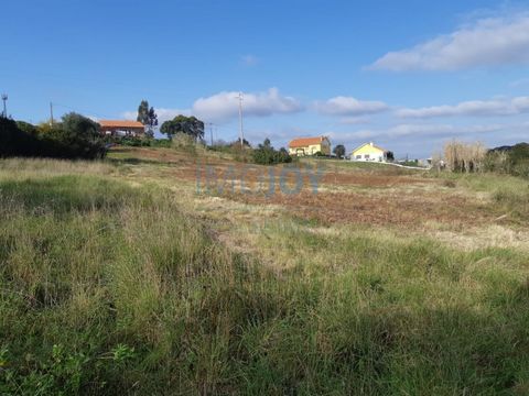 Perceel van 6400 M2 met een verstedelijkt gebied van 350m2 en PIP goedgekeurd voor een huis van 100m2, we hebben dit fantastische perceel met 2 waterputten, een mini eikenbos, enkele olijfbomen en een fantastisch uitzicht. Gelegen in Santo Quintino-S...