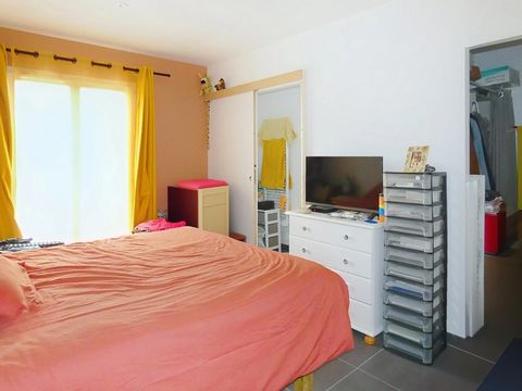 photo no. 6