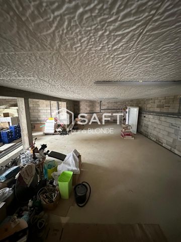 photo no. 15