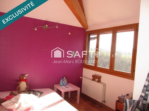 photo no. 11
