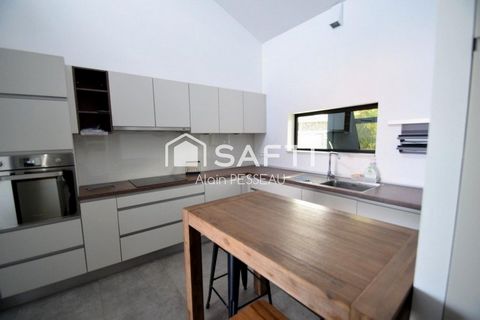 photo no. 2
