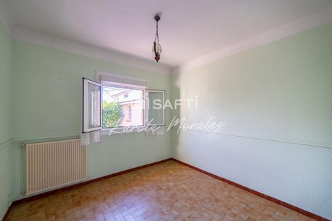photo no. 9