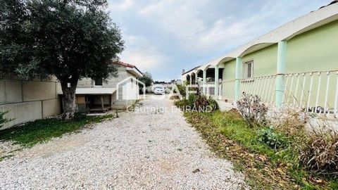photo no. 14