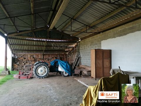 photo no. 15