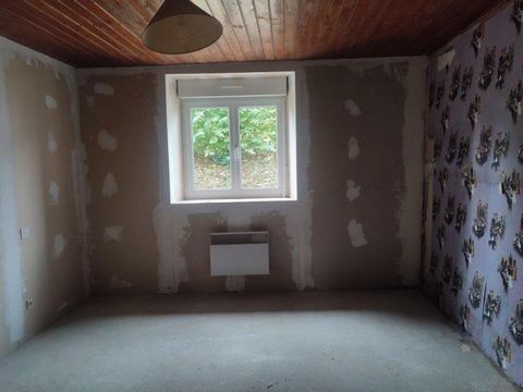 photo no. 9