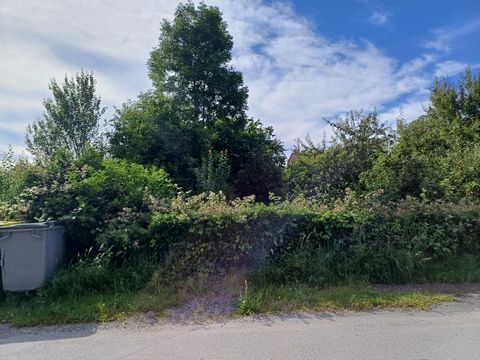 photo no. 18