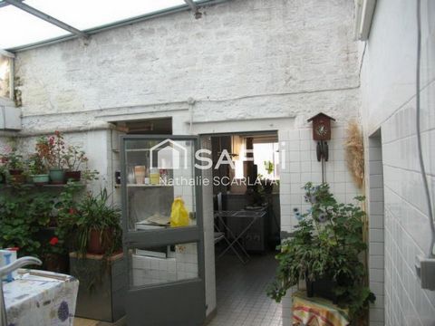 photo no. 9