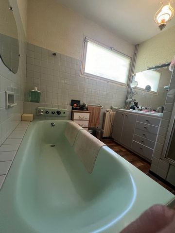 photo no. 11