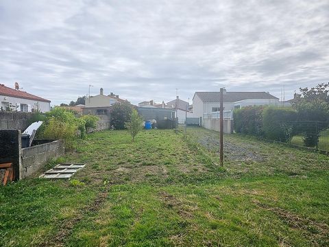 photo no. 10