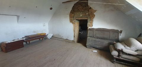 photo no. 8
