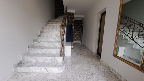 photo no. 2