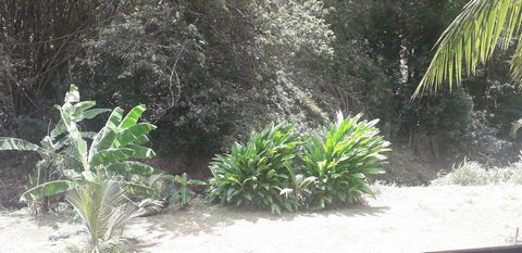 photo no. 9