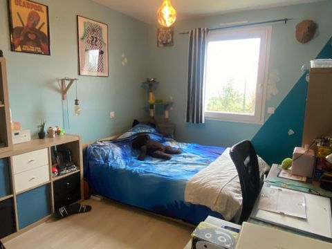 photo no. 7