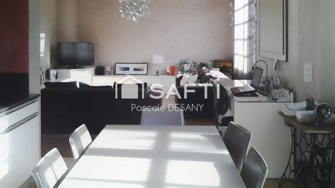 photo no. 7