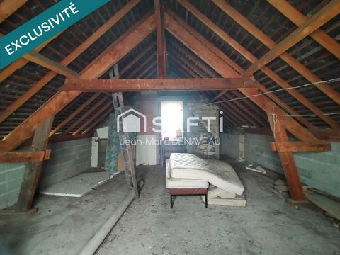 photo no. 4