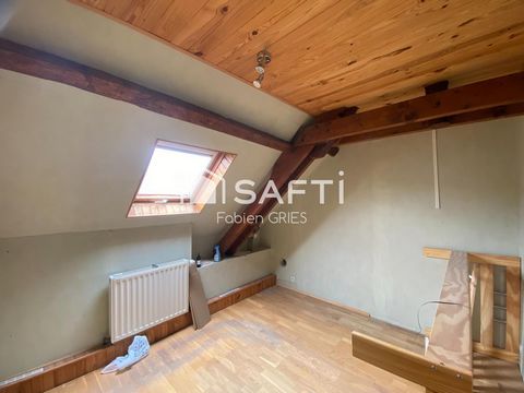 photo no. 11