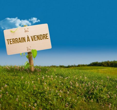 Terrain au calme