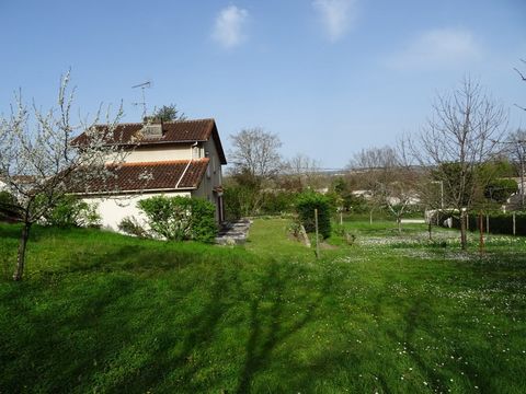 photo no. 2