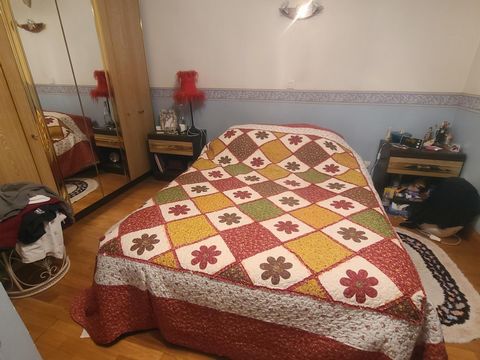 photo no. 8