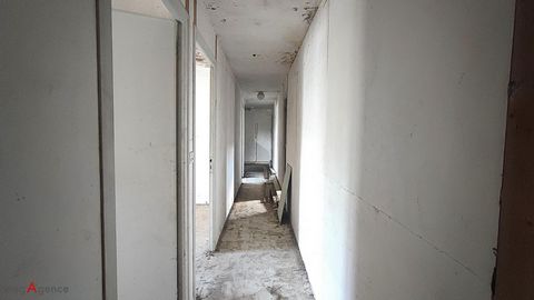 photo no. 16