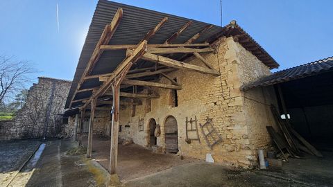 photo no. 17