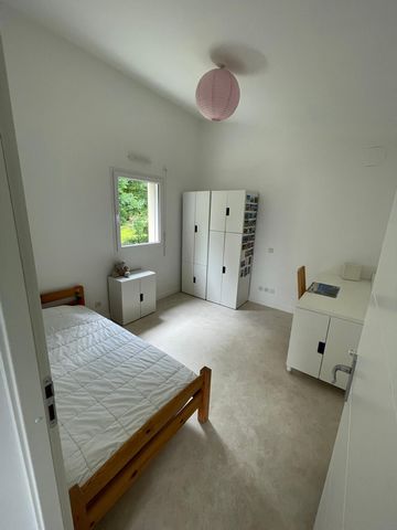 photo no. 9