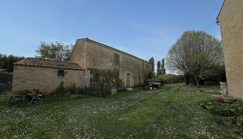 photo no. 12