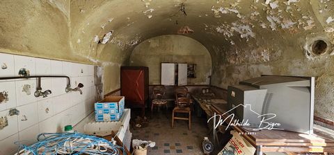 photo no. 13