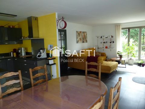 photo no. 11